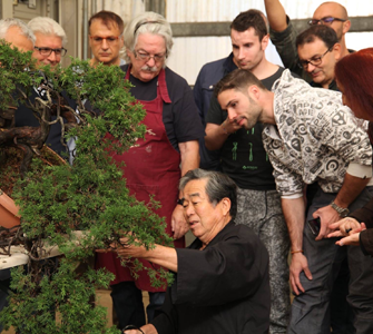 盆栽解説と盆栽作り体験